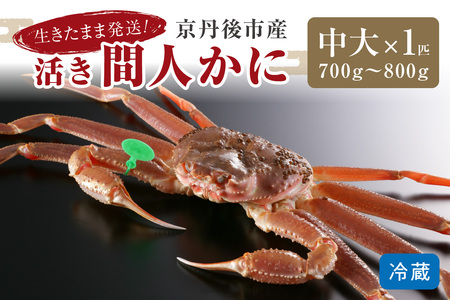 かに卸し問屋がお届け・浜競り厳選！幻の活間人ガニ 700ｇ～800ｇ 中大サイズ（1月～3月発送）／北畿水産 かに