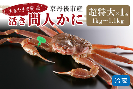 かに卸し問屋がお届け・浜競り厳選！幻の活間人ガニ 1ｋｇ～1.1ｋｇ 超特大サイズ（1月～3月発送）／北畿水産 かに