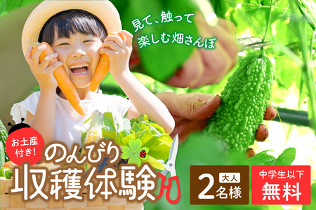 オーガニックファームでのんびり過ごそう！収穫体験&お土産付き(2名様分)