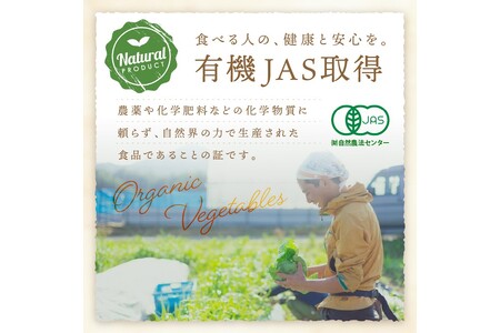 オーガニックファームでのんびり過ごそう！収穫体験&お土産付き(2名様分)