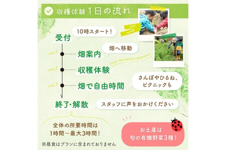 オーガニックファームでのんびり過ごそう！収穫体験&お土産付き(2名様分)