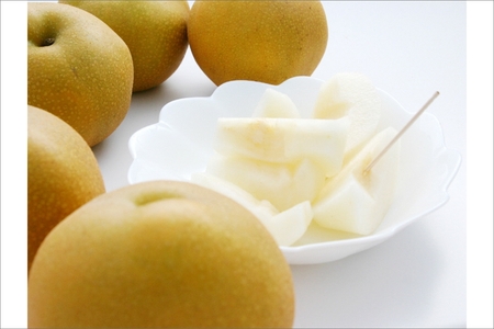 【先行予約／数量限定50】京都丹後産 新興梨 5kg（2026年10月下旬～発送） | 梨