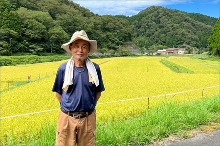 令和7年産 京丹後・野間産　田渕さんちのおいしいお米 個包装 2合×6袋入