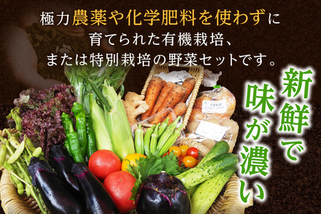 【4回定期便】アスカ有機農園｜旬の京丹後野菜セット 8～10種類