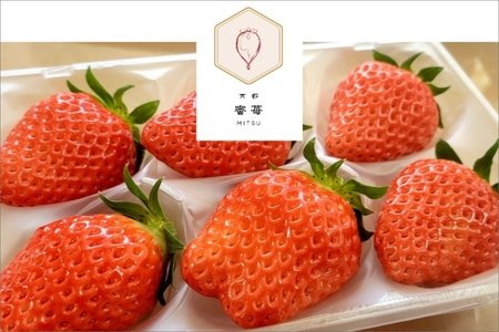 【先行予約】2026年産 京都 蜜いちご（あきひめ）（大サイズ（6粒または8粒）×2パック）約450g（2026年1月上旬～発送） 6,570円