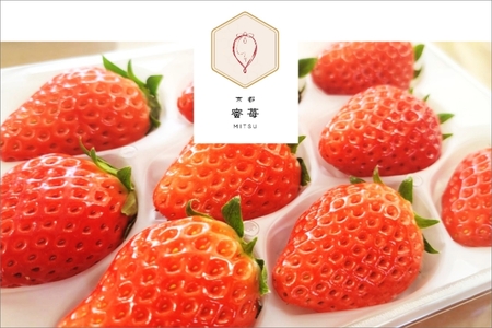 【先行予約】2026年産 京都 蜜いちご（あきひめ）（大サイズ（9粒または11粒）×2パック）約450g（2026年1月上旬～発送）