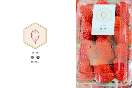 【先行予約】2026年産 京都 蜜いちご（あきひめ）（大サイズ（12粒）×1箱）約600g（2026年1月上旬～発送）