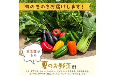 【定期便】合計4回お届け　有機野菜・京野菜の『京都やおよし』の京丹後・亀岡市お野菜詰め合わせ　※北海道、離島、沖縄地域への発送不可