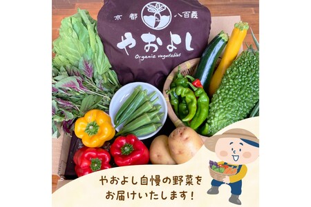 【定期便】合計4回お届け　有機野菜・京野菜の『京都やおよし』の京丹後・亀岡市お野菜詰め合わせ　※北海道、離島、沖縄地域への発送不可