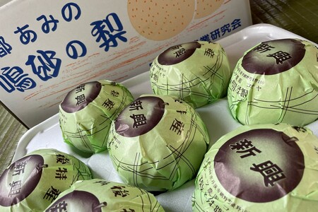 【先行予約／数量限定100】新興梨　5kg（2026年10月中旬～発送）