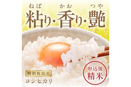 京丹後米　特別栽培米コシヒカリ 3kg　令和5年　注文後精米