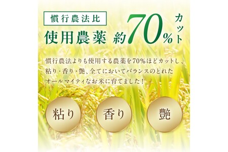 京丹後米　特別栽培米コシヒカリ 3kg　令和5年　注文後精米