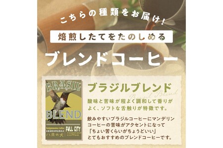 コーヒー豆 ブラジルブレンド 定期便 400g×3回 コーヒー豆