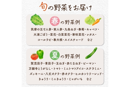 【数量限定】自然栽培野菜セット（陽だまり）