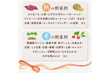 【数量限定】自然栽培野菜セット（陽だまり）
