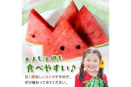 【先行予約／数量限定100】にしまるスイカ 秀品 1玉入り（ハウス栽培）（2026年6月中旬から発送）＜ スイカ すいか 小玉スイカ 西瓜 フルーツ くだもの 果物 期間限定 予約 ＞