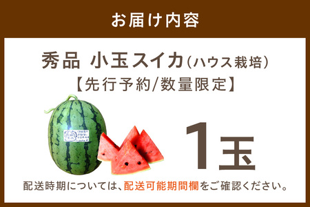 【先行予約／数量限定100】にしまるスイカ 秀品 1玉入り（ハウス栽培）（2026年6月中旬から発送）＜ スイカ すいか 小玉スイカ 西瓜 フルーツ くだもの 果物 期間限定 予約 ＞