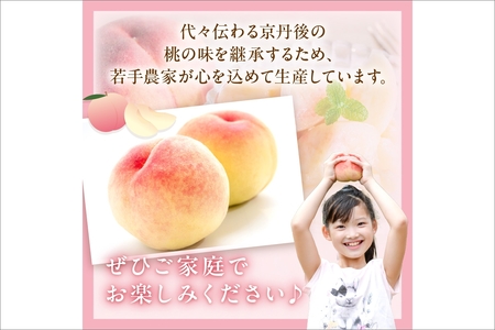 【先行予約】京丹後産 桃 2kg(6~12玉)(2026年7月下旬~発送)