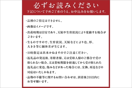 【先行予約】京丹後産 桃 2kg(6~12玉)(2026年7月下旬~発送)
