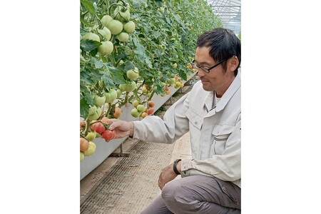 京トマト 2kg 春夏発送【トマト】