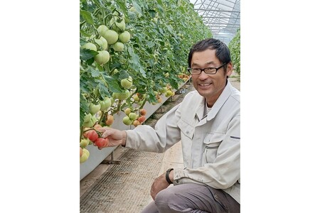 京トマト 4kg 春夏発送【トマト】