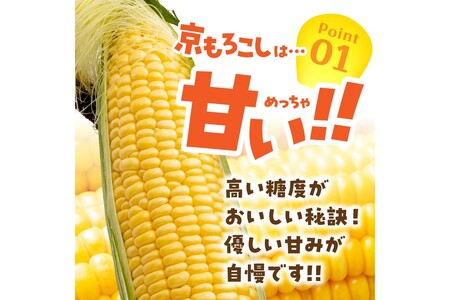 ＜てんとうむしばたけ＞有機とうもろこし5本