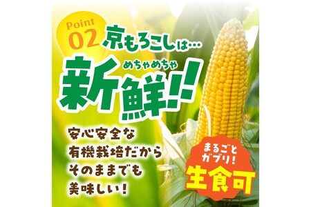 ＜てんとうむしばたけ＞有機とうもろこし5本