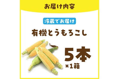 ＜てんとうむしばたけ＞有機とうもろこし5本