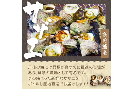 【先行予約】大満足！京丹後・海鮮BBQ　Cセット　贅沢生ズワイガニ付き　4種11品（3～4人前）（2025年5月上旬～発送）