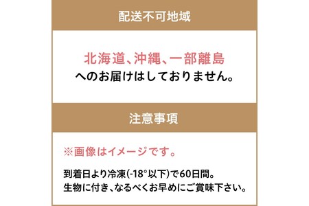 【先行予約】大満足！京丹後・海鮮BBQ　Cセット　贅沢生ズワイガニ付き　4種11品（3～4人前）（2025年5月上旬～発送）