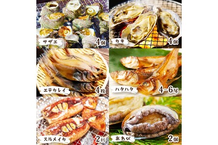 【先行予約】大満足！京丹後・海鮮BBQ　Dセット　贅沢アワビ付　6種22品（4～5人前）（2026年4月中旬～発送）