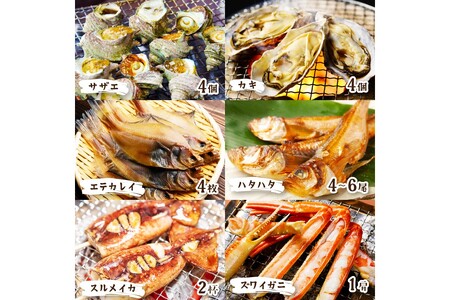 【先行予約】大満足！京丹後・海鮮BBQ　Eセット　豪華盛り合わせ　生ズワイガニ　付　6種21品（4～5人前）（2026年4月中旬～発送）