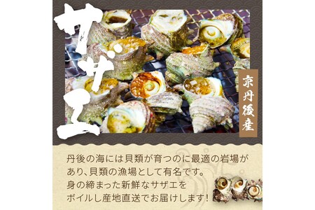 【先行予約】大満足！京丹後・海鮮BBQ　Eセット　豪華盛り合わせ　生ズワイガニ　付　6種21品（4～5人前）（2026年4月中旬～発送）