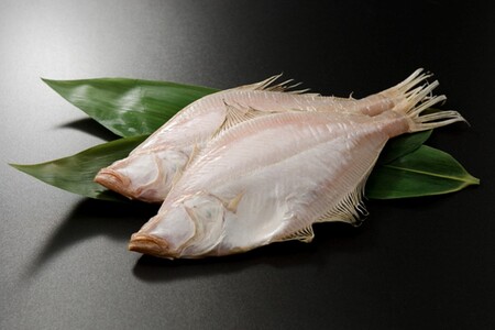 【店主一押し!絶品干物!高リピート!】エテカレイ一夜干し 大サイズ(夕食サイズ)10枚