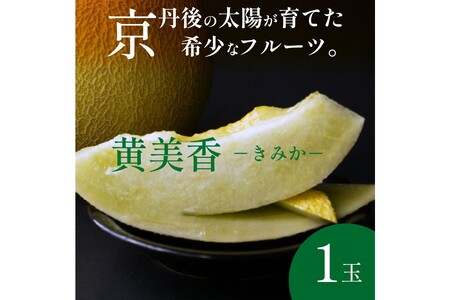 【先行予約／数量限定500】砂丘メロン 黄美香 1玉（2025年7月下旬～発送）