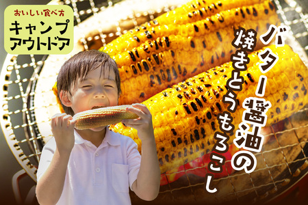 【先行予約】とうもろこし ホワイトコーン 10本 トウモロコシ