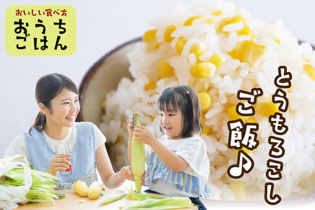 【先行予約】 生食も!高糖度!もぎたて! フルーツトウモロコシ「イエローコーン」(2026年6月下旬~発送)