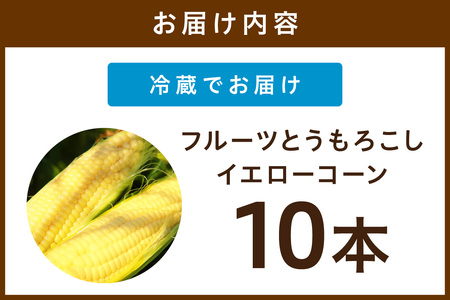 【先行予約】 生食も!高糖度!もぎたて! フルーツトウモロコシ「イエローコーン」(2026年6月下旬~発送)