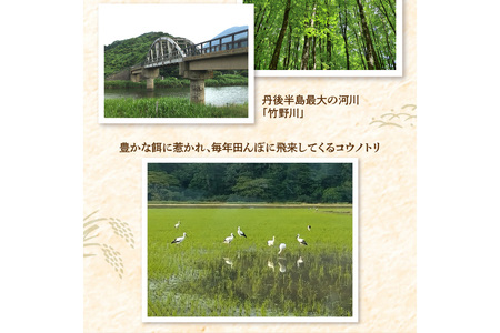 令和7年産 特別栽培米コシヒカリ 丹後椿(京丹後森本産) 2kg