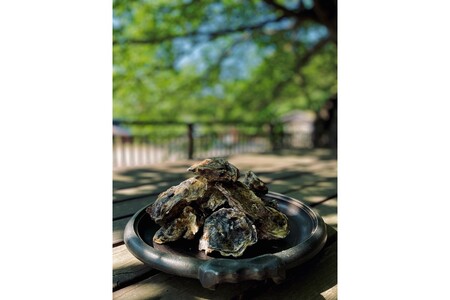 牡蠣グラタン3個 牡蠣