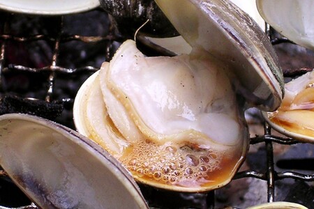 【はまぐり】畜養活蛤 2kg ハマグリ