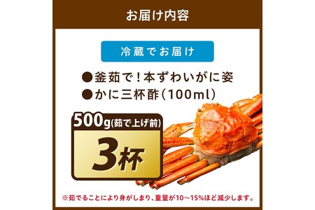 【大好評!カニ酢付き】訳あり!釜茹で!本ずわいがに姿 500g×3杯 カニ