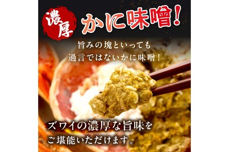 【大好評！カニ酢付き】訳あり！釜茹で！本ずわいがに姿 1匹（600g前後）