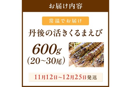 丹後の活きくるまえび 600g(20~30尾) えび