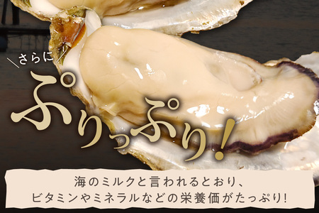 【年末年始(12月26日~1月4日)発送対応】京都・京丹後産牡蠣5kg(約50個)