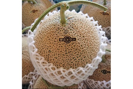 【先行予約／数量限定15】カスタネットメロン1玉(2026年7月中旬～発送)