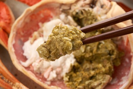 【先行予約】【厳選！タグ付きブランド蟹】茹で松葉かに（600g級×1杯）（2026年1月～発送） 蟹