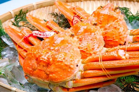 【先行予約】【厳選!タグ付きブランド蟹】茹で松葉かに(600g級×2杯)(2026年1月~発送) 蟹