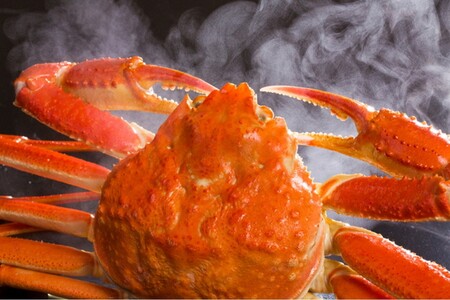 【先行予約】【厳選!タグ付きブランド蟹】茹で松葉かに(600g級×2杯)(2026年1月~発送) 蟹