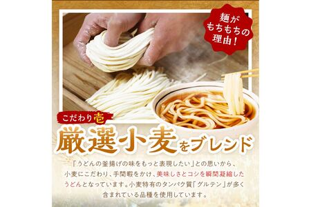 【定期便隔月3回】冷凍うどん5玉入（濃縮出汁付き）_KI00032_うどん